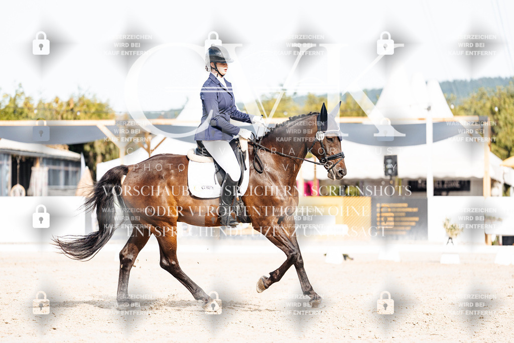 CK905054 | Turnierfotografie Pferdefotografie Trier Rheinland-Pfalz Pferdesport Reitsport Tierfotografie Sportfotografie Pferdevideo Pferdevideografie Equestrianvideography equestrianphotography  - Realisiert mit Pictrs.com