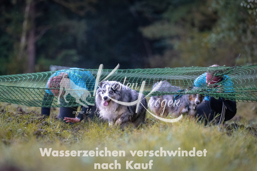 0816_ZZ90103 | kk-dogfotos
