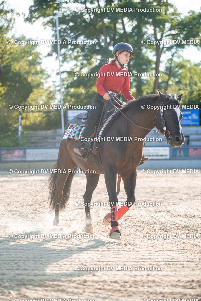 EWP_7136 | dv-media-shop - Realisiert mit Pictrs.com