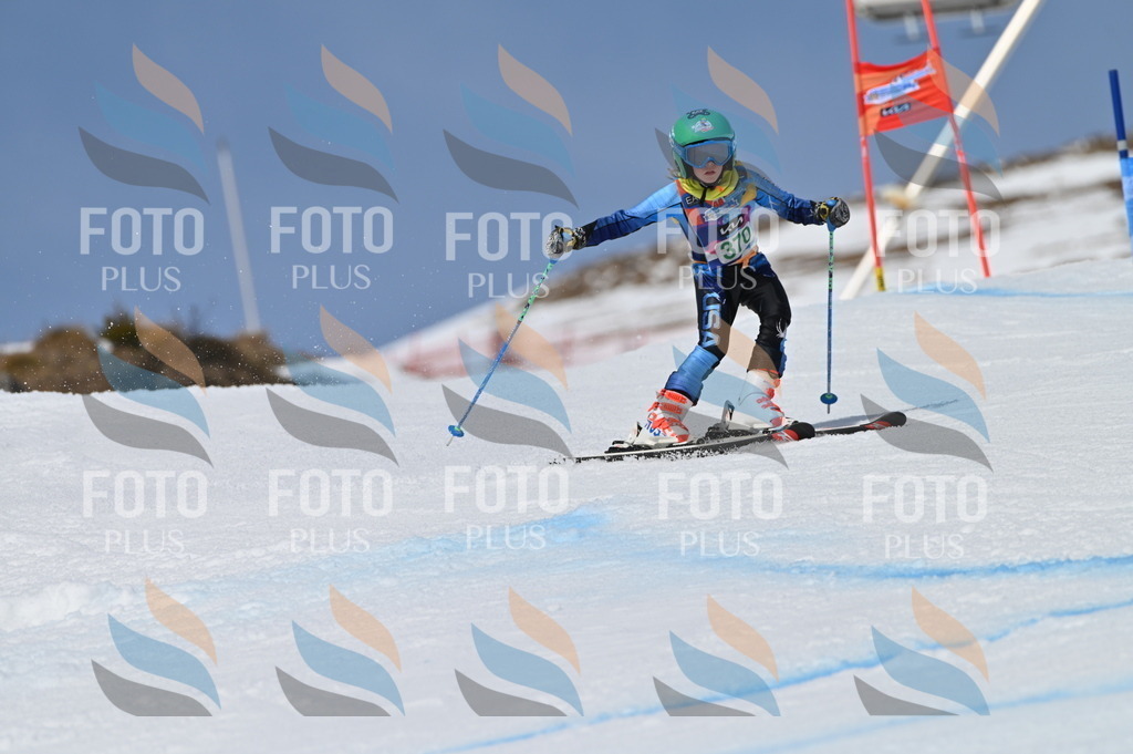 BGV_7321 | holidayphoto