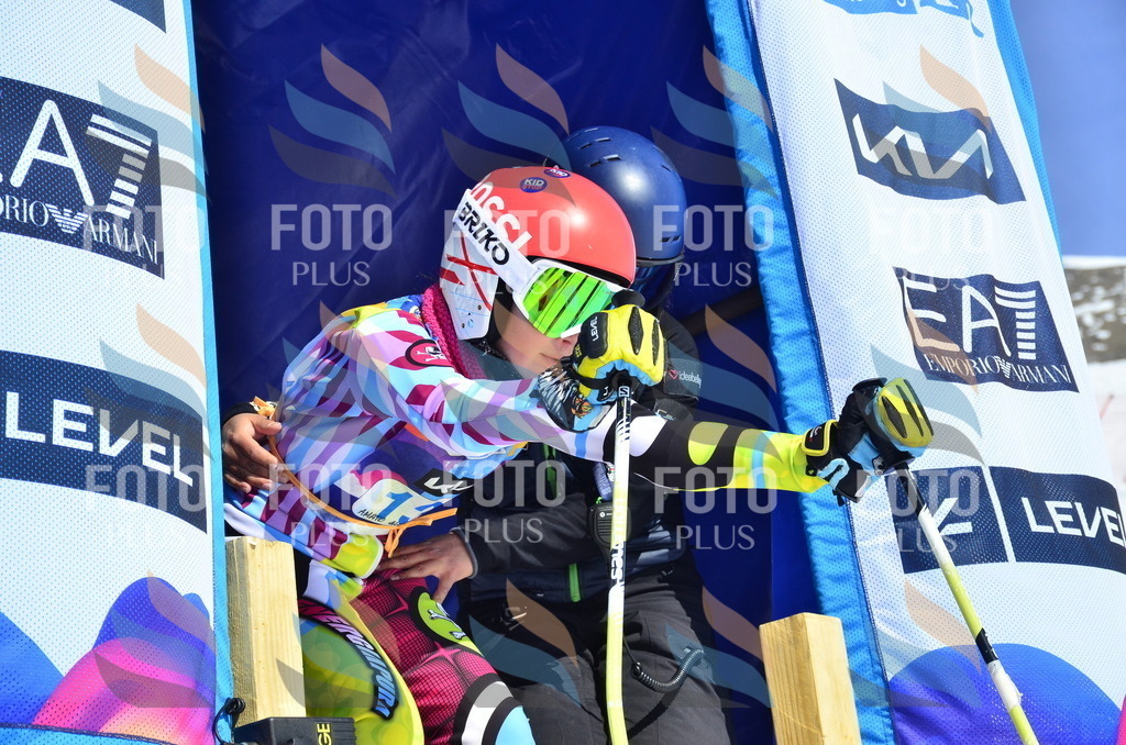 _ELE0881 | holidayphoto