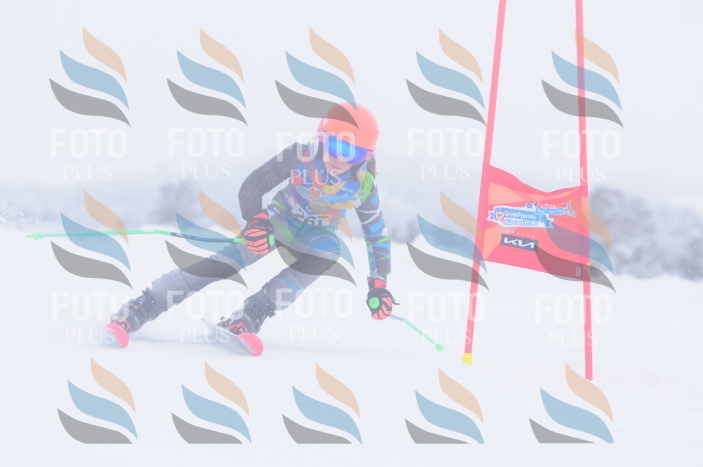 C2801 | holidayphoto