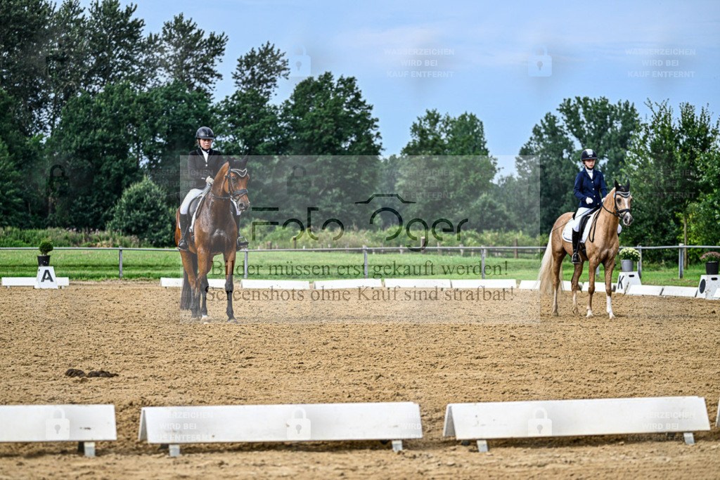 Reitturnier Hasbergen | Entdecke hochwertige Reitturnierfotos von Foto Oger. Professionell, emotional und authentisch – jetzt Lieblingsmomente im Shop bestellen. - Realisiert mit Pictrs.com