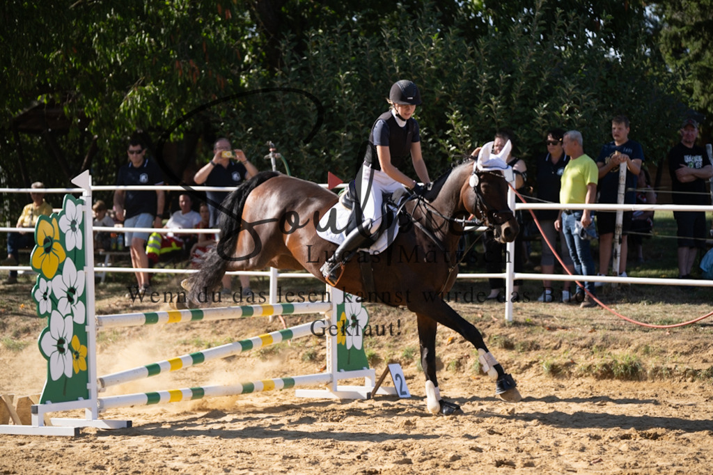 A7V02577 | Pferdefotograf