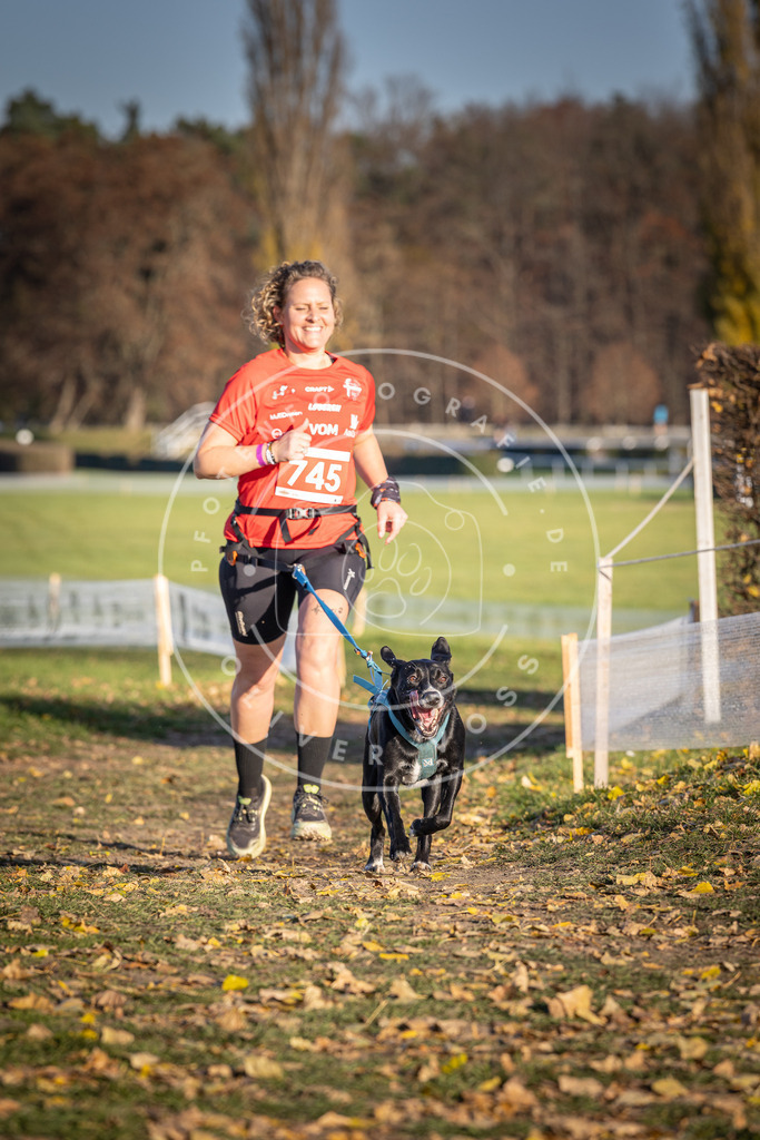 CaniXpix_DV3A2332 | Hundefotografie, Tierfotograf, Pfotenfotografie, Fotoshooting Hund, Hunde Portrait, Hundesport, Hundeportraits, Heideshooting, Hunde, Sportfotograf, Hundefotograf, Turnierhundsport, THS,  - Realisiert mit Pictrs.com