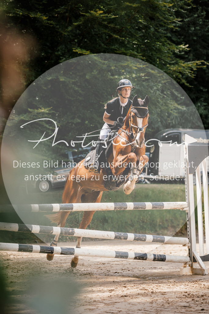 3I6A7953 | Stimmungsvolle Portraits und Reitsportfotografie im Ruhrgebiet und im Münsterland.

Pferdefotografie, Hundefotografie, Tierfotografie, Reportagen, Portraits von Tier und Mensch, Turnierfotografie in Bochum, Recklinghausen, Marl, Haltern am See, Dülmen.. - Realisiert mit Pictrs.com