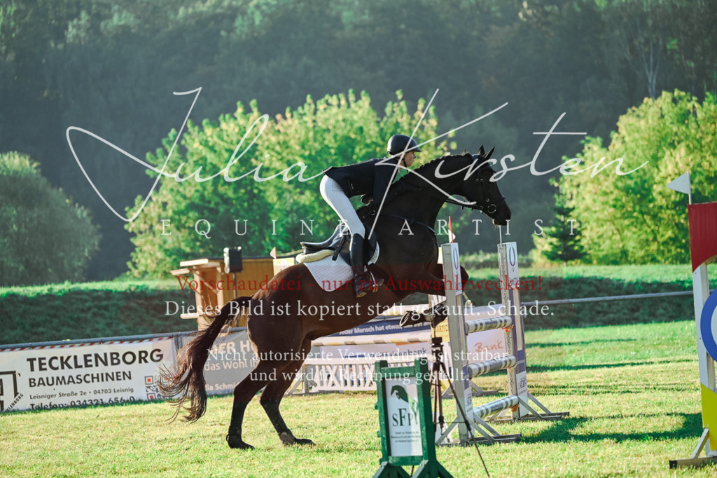 DSC_4175 | Pferde- und Turnierfotografie in Westsachsen. Pferdeportraits, Auftragszeichnungen und intuitive Kunst.