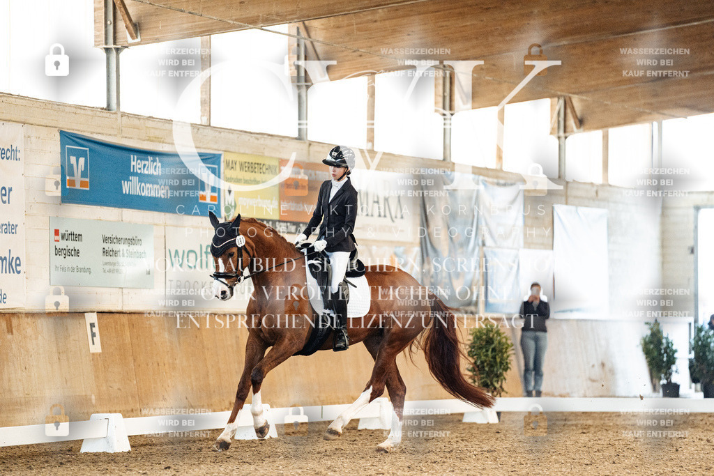 CK909048 | Turnierfotografie Pferdefotografie Trier Rheinland-Pfalz Pferdesport Reitsport Tierfotografie Sportfotografie Pferdevideo Pferdevideografie Equestrianvideography equestrianphotography  - Realisiert mit Pictrs.com