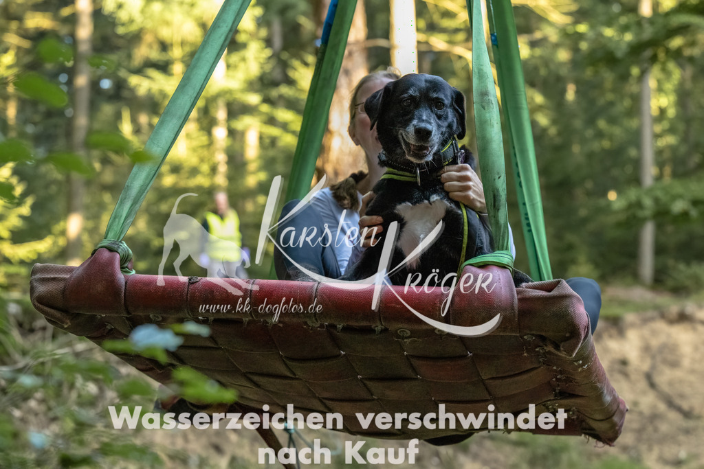 0917_ZZ90851-Bearbeitet | kk-dogfotos