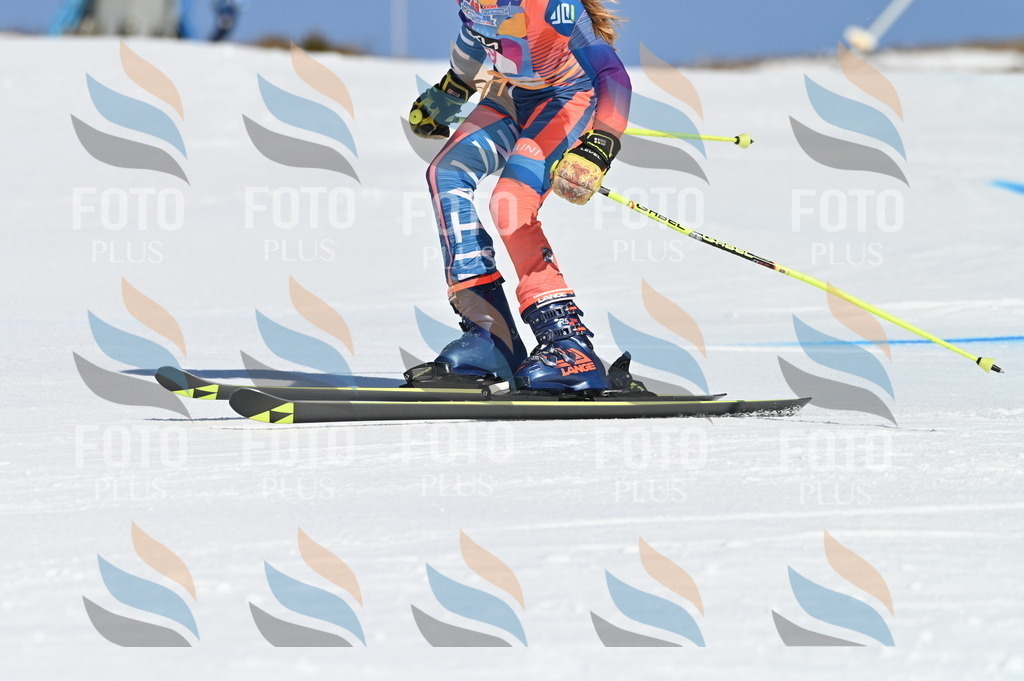 BGV_7740 | holidayphoto