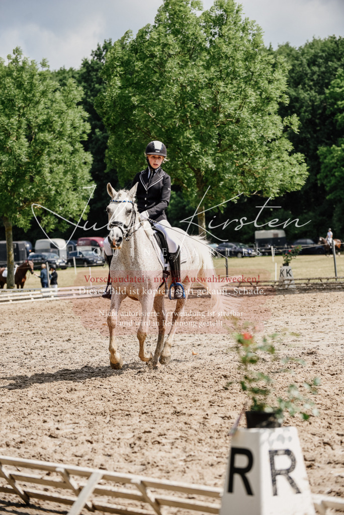 DSC_0543 | Pferde- und Turnierfotografie in Westsachsen. Pferdeportraits, Auftragszeichnungen und intuitive Kunst.