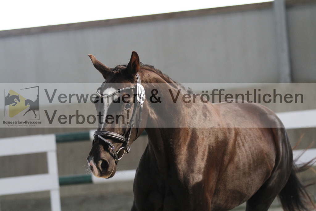 _MG_9624 | equestrian-live-com