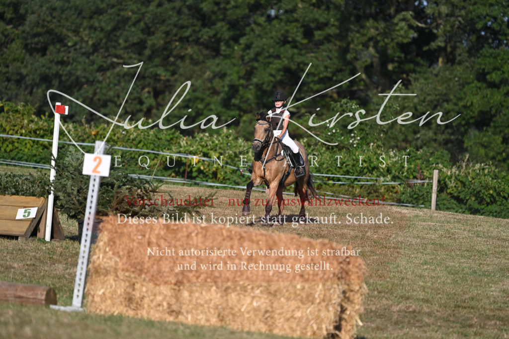 DSC_9182 | Pferde- und Turnierfotografie in Westsachsen. Pferdeportraits, Auftragszeichnungen und intuitive Kunst.