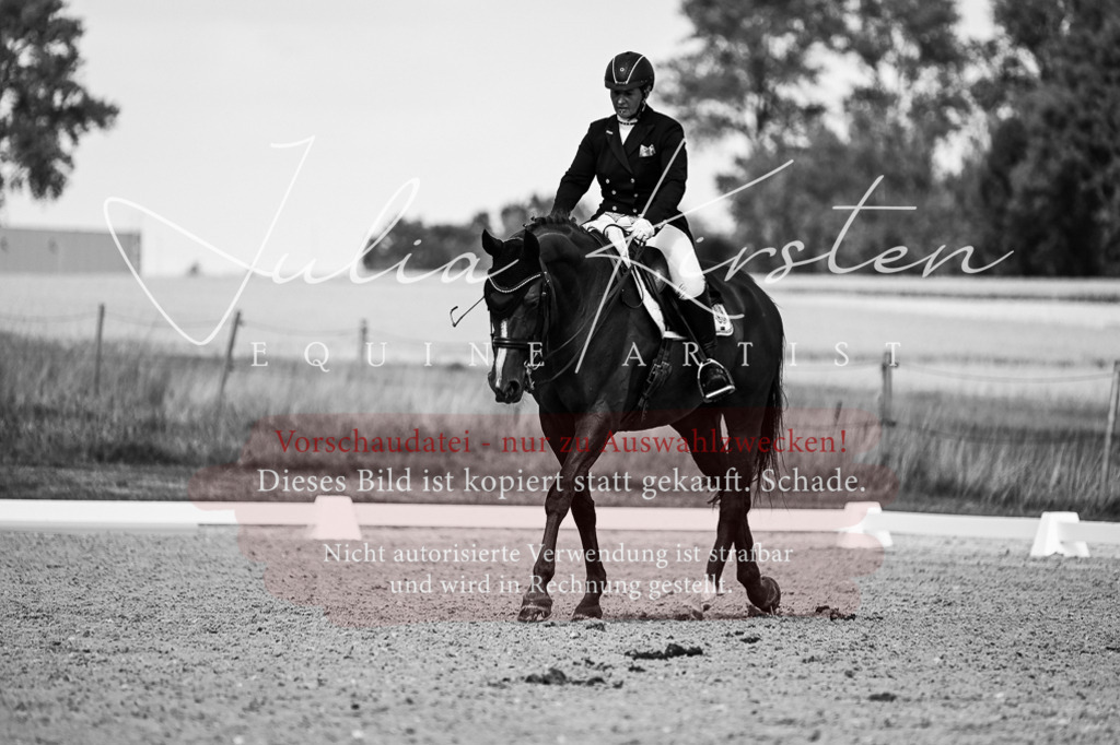 DSC_3252 | Pferde- und Turnierfotografie in Westsachsen. Pferdeportraits, Auftragszeichnungen und intuitive Kunst.