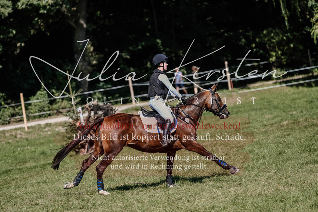 DSC_2740 | Pferde- und Turnierfotografie in Westsachsen. Pferdeportraits, Auftragszeichnungen und intuitive Kunst.