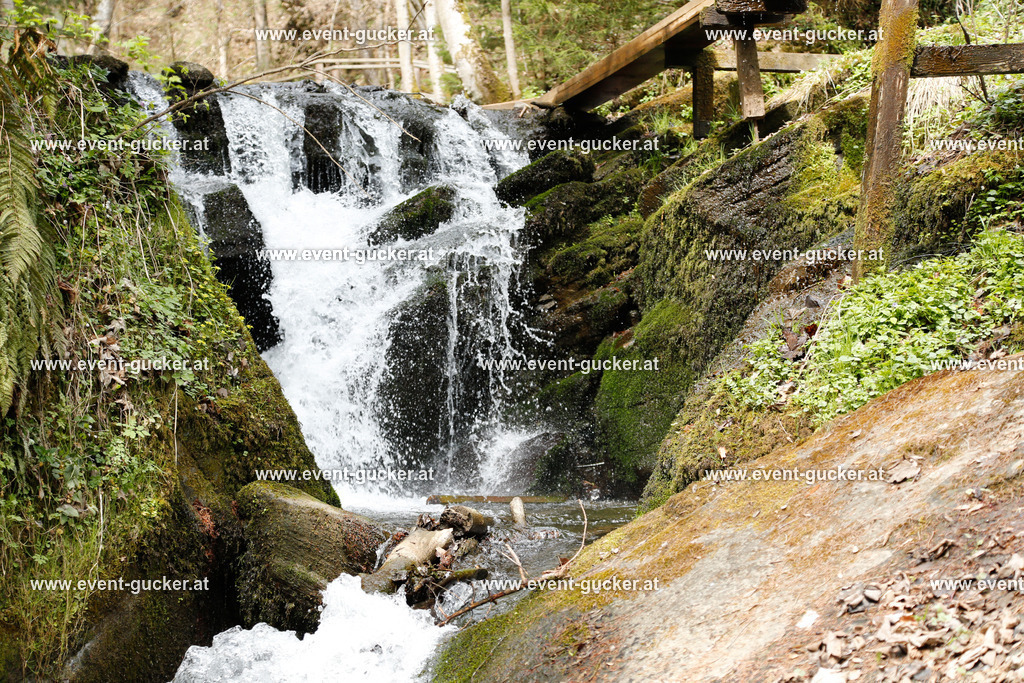 _IPS0208 | Sportfoto event-gucker Herbert Scherer