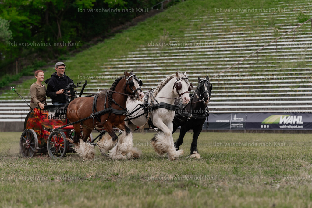 Showprogramm-216 | working equitationturnier fotograf videograf stoibphotography marixx film working equitation deutschland reitsport turnierfotografie eventfotografie equestrian events