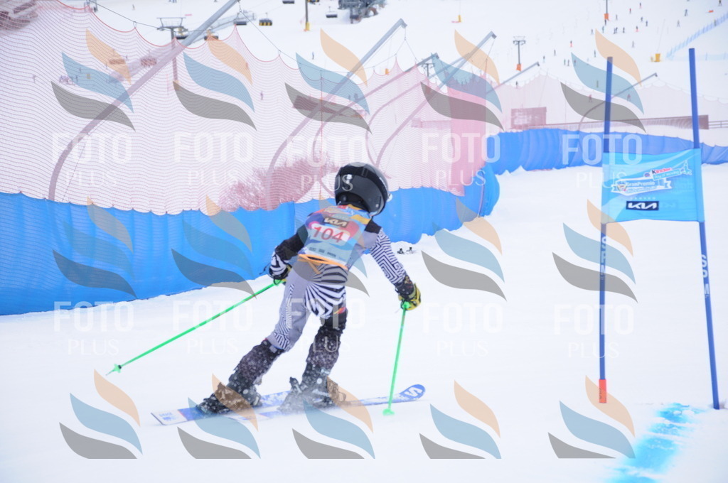 DSC_8374 | holidayphoto