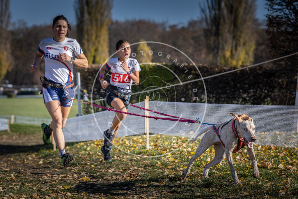 CaniXpix_DV3A8036 | Hundefotografie, Tierfotograf, Pfotenfotografie, Fotoshooting Hund, Hunde Portrait, Hundesport, Hundeportraits, Heideshooting, Hunde, Sportfotograf, Hundefotograf, Turnierhundsport, THS,  - Realisiert mit Pictrs.com