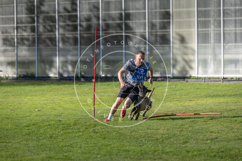 Pfotenfotografie.de_DV3A3433 | Hundefotografie, Tierfotograf, Pfotenfotografie, Fotoshooting Hund, Hunde Portrait, Hundesport, Hundeportraits, Heideshooting, Hunde, Sportfotograf, Hundefotograf, Turnierhundsport, THS, canicross - Realisiert mit Pictrs.com
