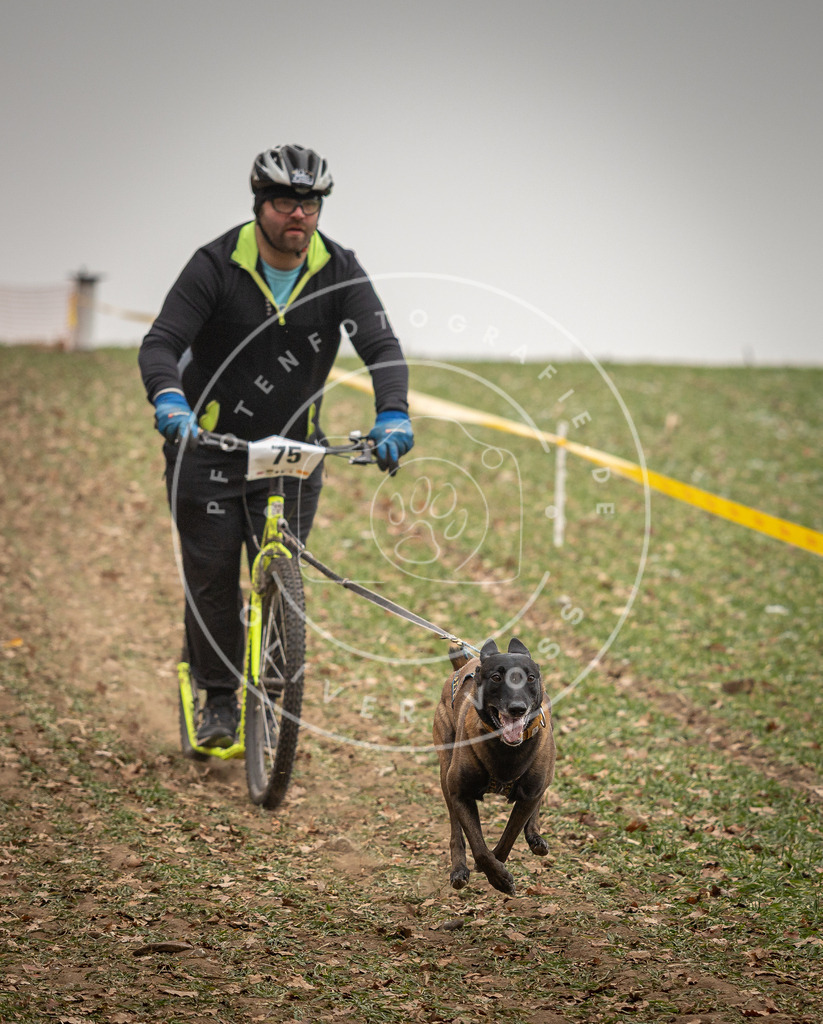 Pfotenfotografie_DV3A3885 | Hundefotografie, Tierfotograf, Pfotenfotografie, Fotoshooting Hund, Hunde Portrait, Hundesport, Hundeportraits, Heideshooting, Hunde, Sportfotograf, Hundefotograf, Turnierhundsport, THS,  - Realisiert mit Pictrs.com