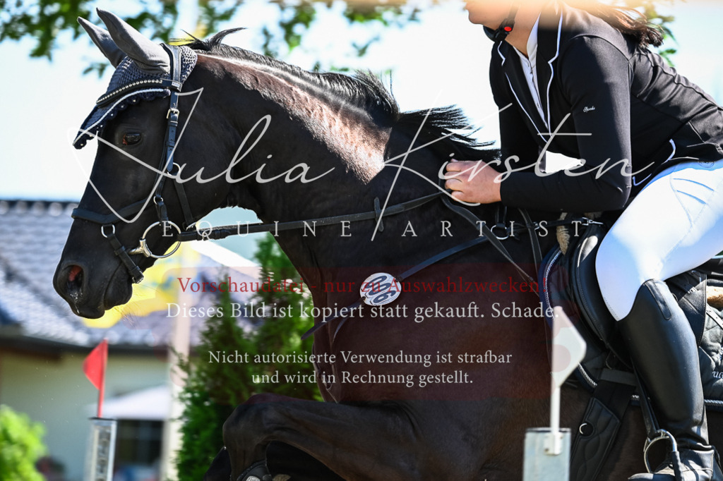 DSC_1627 | Pferde- und Turnierfotografie in Westsachsen. Pferdeportraits, Auftragszeichnungen und intuitive Kunst.