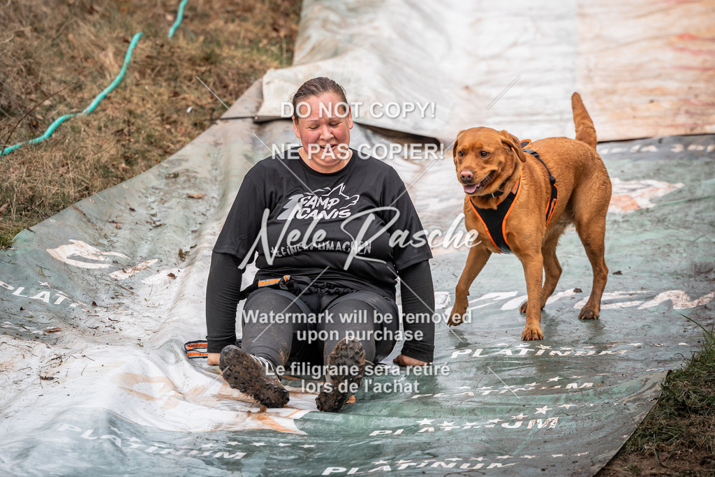 nelerasche_1330-1400_69 | nelerasche