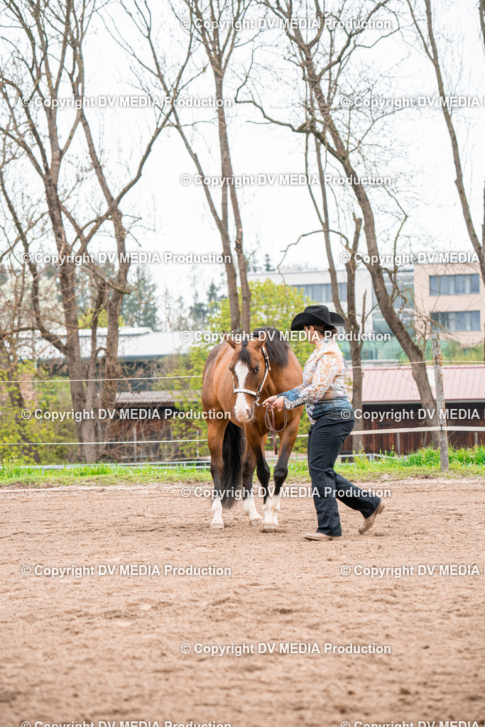 BA300155 | dv-media-shop - Realisiert mit Pictrs.com