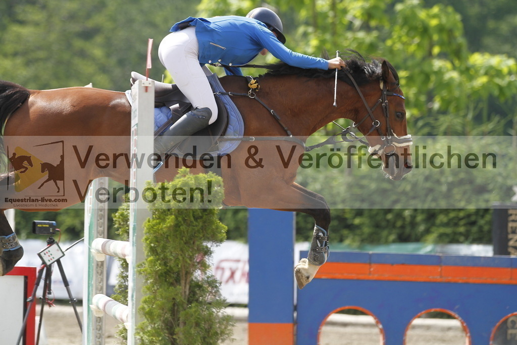 _MG_9701 | equestrian-live-com