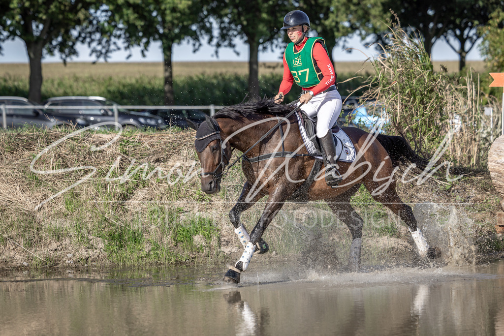 20250907-_3LI3832 | Tierfotografie Pferde, Hunde, Katzen, Haustiere.
Turnierfotografie Reitturniere, Reiten, Springreiten, Dressur in Hanau, dem Main-Kinzig-Kreis und dem Rhein-Main- Gebiet um Frankfurt