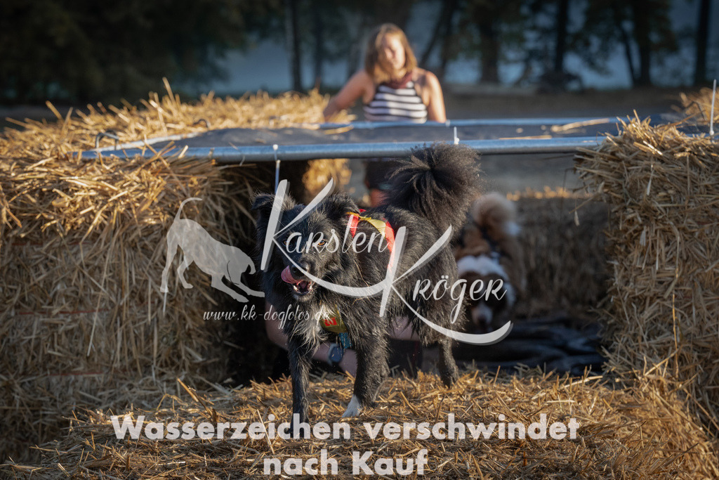 0915_ZZ92206 | kk-dogfotos
