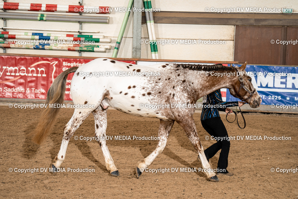 Heiligenwald Tag 1-128 | dv-media-shop - Realisiert mit Pictrs.com