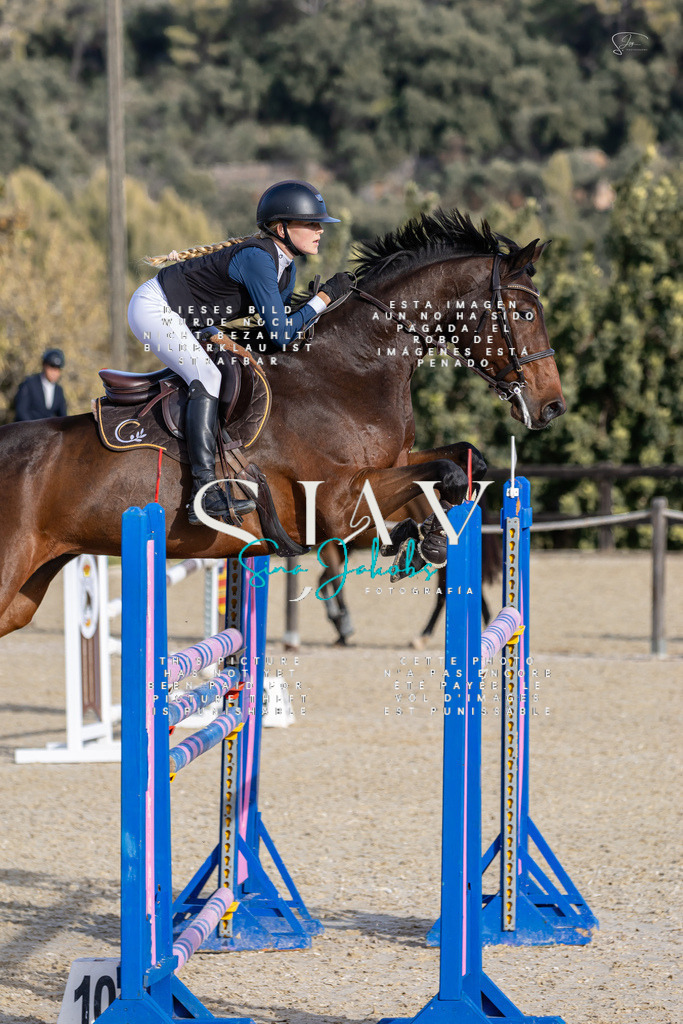 IMG_0334 | s-jay-photography - Realisiert mit Pictrs.com