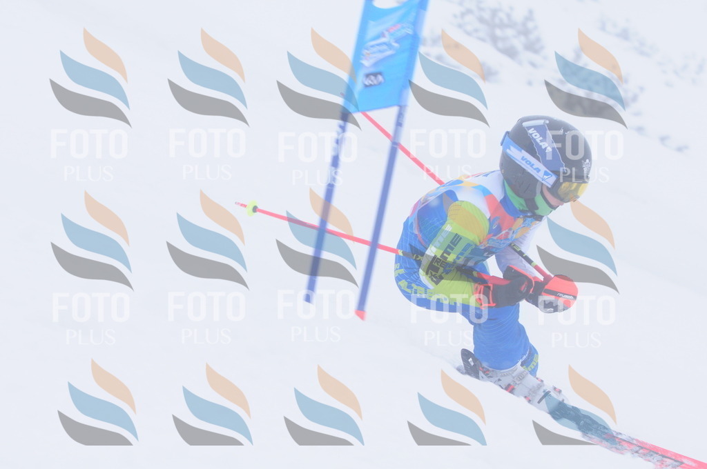 C2196 | holidayphoto