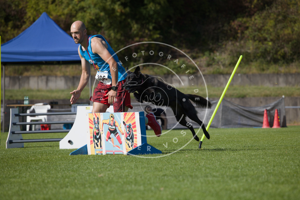 0L8A8178 | Hundefotografie, Tierfotograf, Pfotenfotografie, Fotoshooting Hund, Hunde Portrait, Hundesport, Hundeportraits, Heideshooting, Hunde, Sportfotograf, Hundefotograf, Turnierhundsport, THS,  - Realisiert mit Pictrs.com