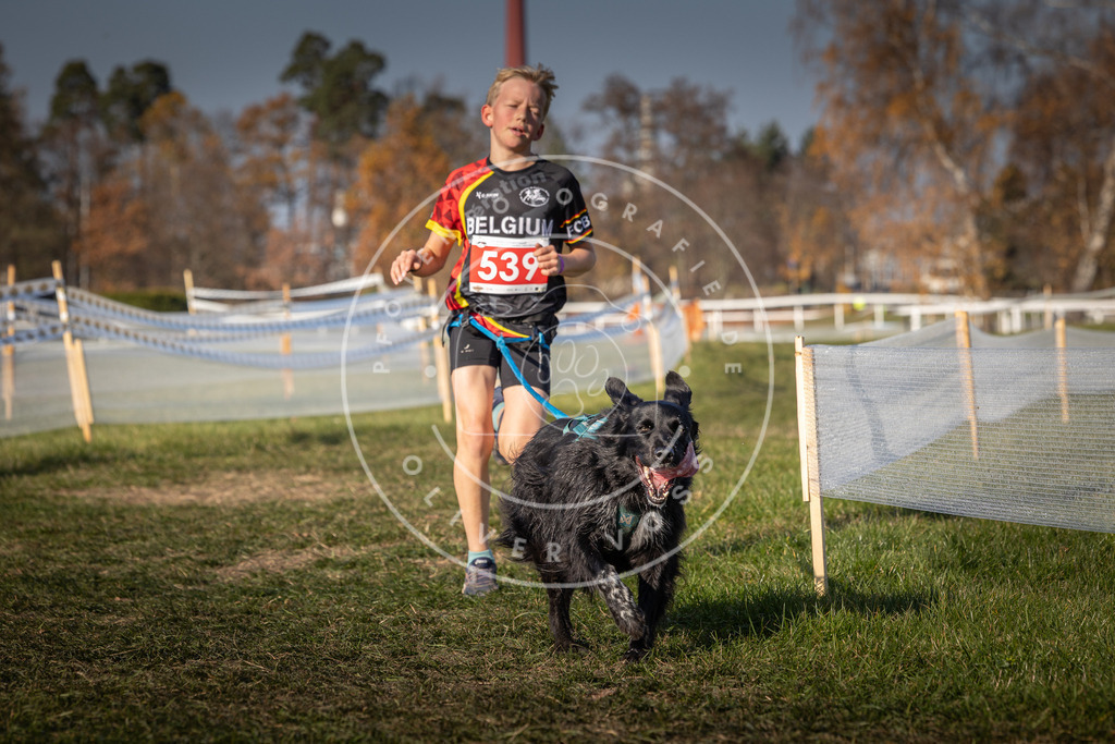 CaniXpix_0L8A8906 | Hundefotografie, Tierfotograf, Pfotenfotografie, Fotoshooting Hund, Hunde Portrait, Hundesport, Hundeportraits, Heideshooting, Hunde, Sportfotograf, Hundefotograf, Turnierhundsport, THS,  - Realisiert mit Pictrs.com