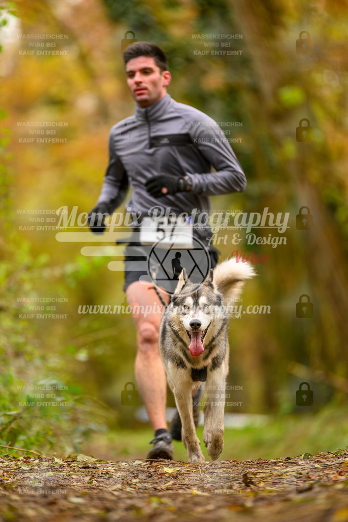 MompixPhotography_Bischwiller24_SA_Canicross-46 | PayLife