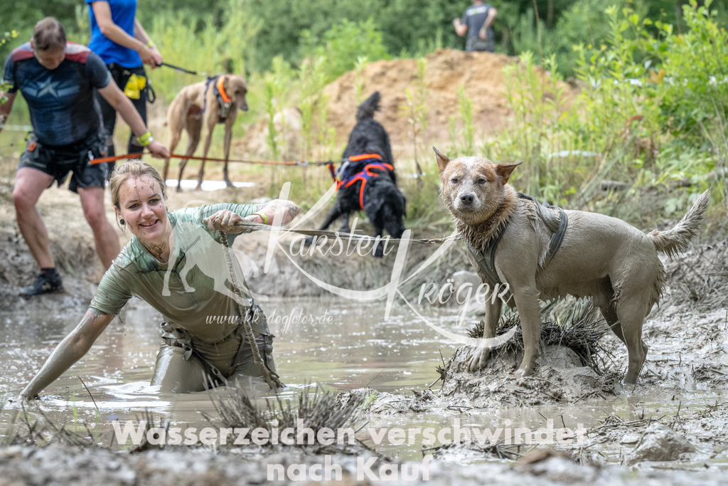 0941_ZZ94288 | kk-dogfotos