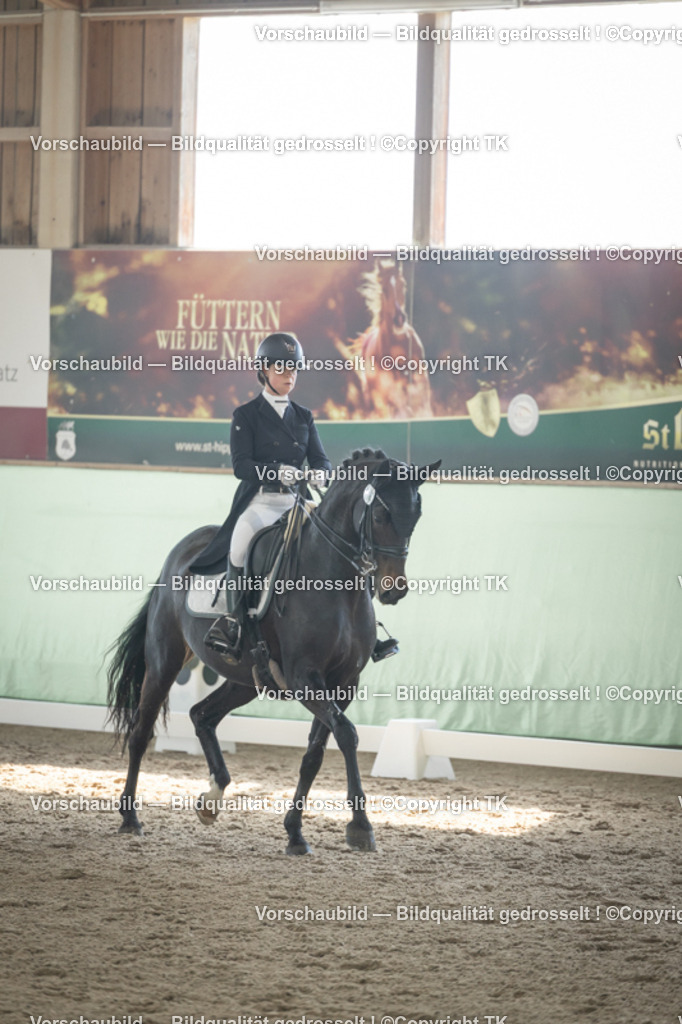 _D5A1037 | Emotionale Pferde- & People-Fotografie rund um Heidelberg, Leimen & Umgebung. Natürliche Fotos von Pferd, Mensch & Familie. Jetzt Termin sichern!