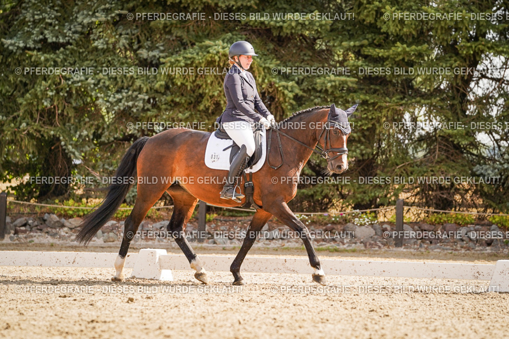 DSC01183 | Pferdegrafie