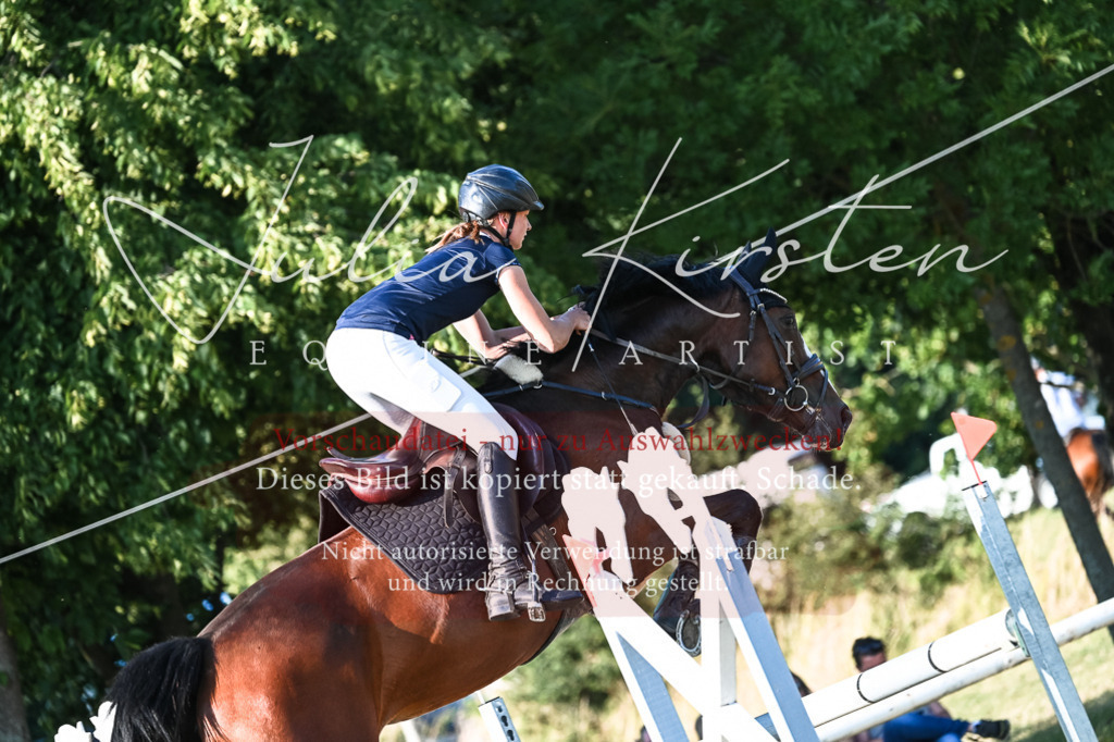 DSC_2902 | Pferde- und Turnierfotografie in Westsachsen. Pferdeportraits, Auftragszeichnungen und intuitive Kunst.
