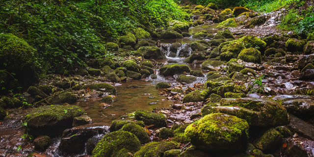 RO_Valea_Sighistelului_4500px_shortside