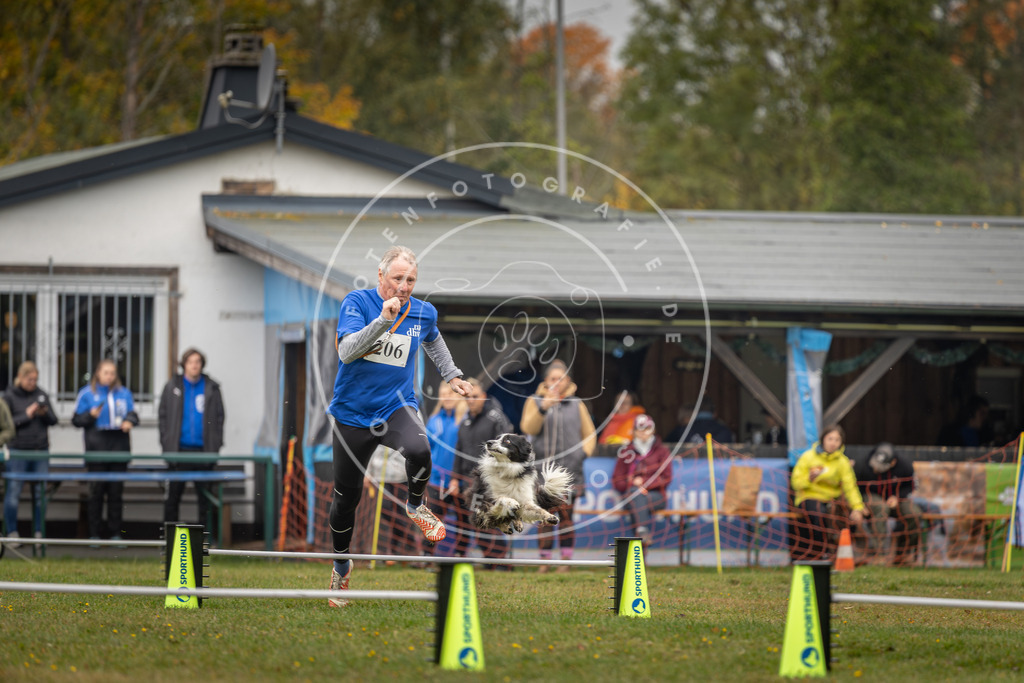 Pfotenfotografie_DV3A1741 | Hundefotografie, Tierfotograf, Pfotenfotografie, Fotoshooting Hund, Hunde Portrait, Hundesport, Hundeportraits, Heideshooting, Hunde, Sportfotograf, Hundefotograf, Turnierhundsport, THS,  - Realisiert mit Pictrs.com