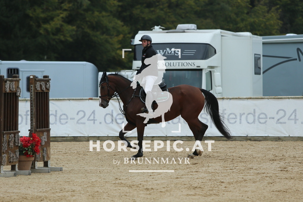 DL2Q4105 | Willkommen bei Brunnmayr - Design & Fotografie – Ihrem Spezialisten für Reitturniere und Pferdeveranstaltungen in Oberösterreich, Salzburg und Bayern! Seit über 17 Jahren sind wir leidenschaftlich dabei.