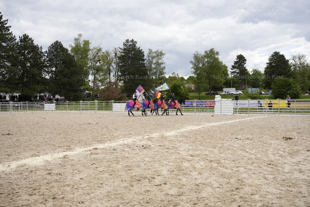 PI26_Sehrung_COW_Stoibphotography_A749842.JPG | working equitationturnier fotograf videograf stoibphotography marixx film working equitation deutschland reitsport turnierfotografie eventfotografie equestrian events