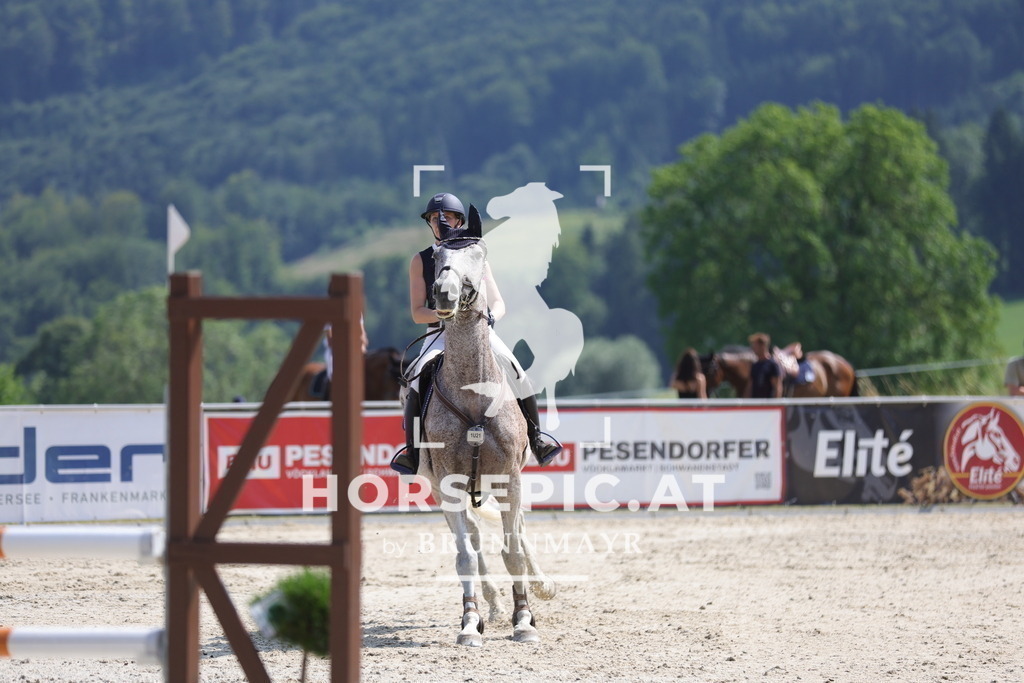 0P6A0560 | Willkommen bei Brunnmayr - Design & Fotografie – Ihrem Spezialisten für Reitturniere und Pferdeveranstaltungen in Oberösterreich, Salzburg und Bayern! Seit über 17 Jahren sind wir leidenschaftlich dabei.