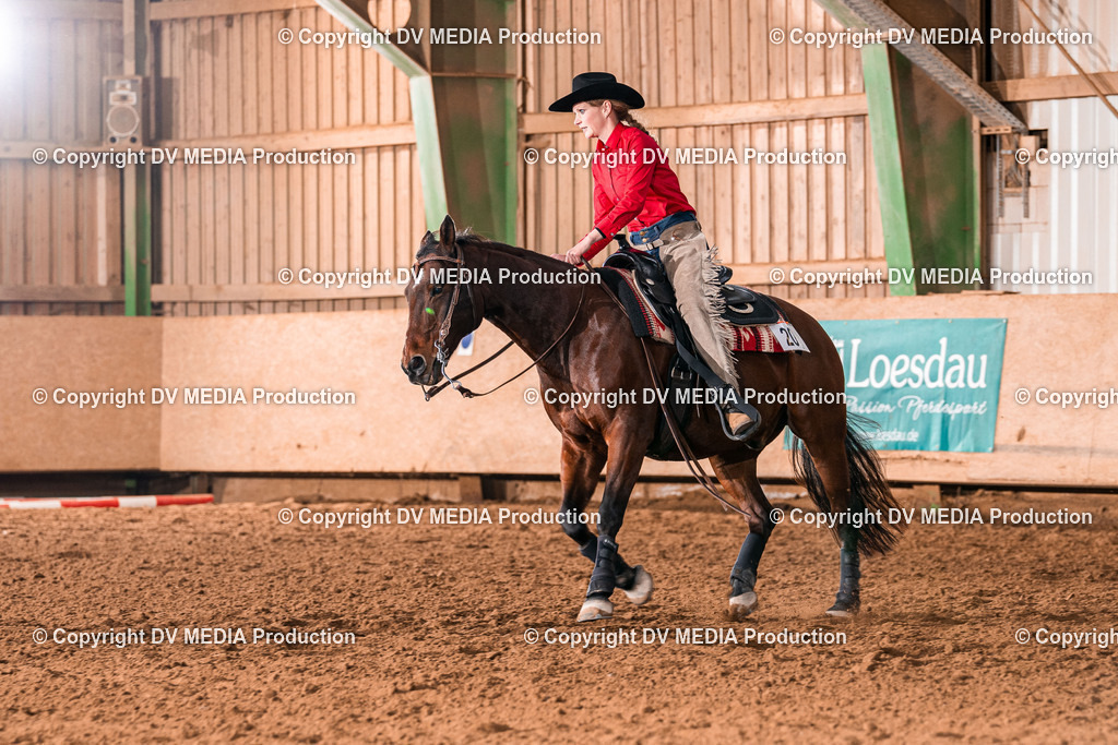 Balingen Tag 2-1117 | dv-media-shop - Realisiert mit Pictrs.com