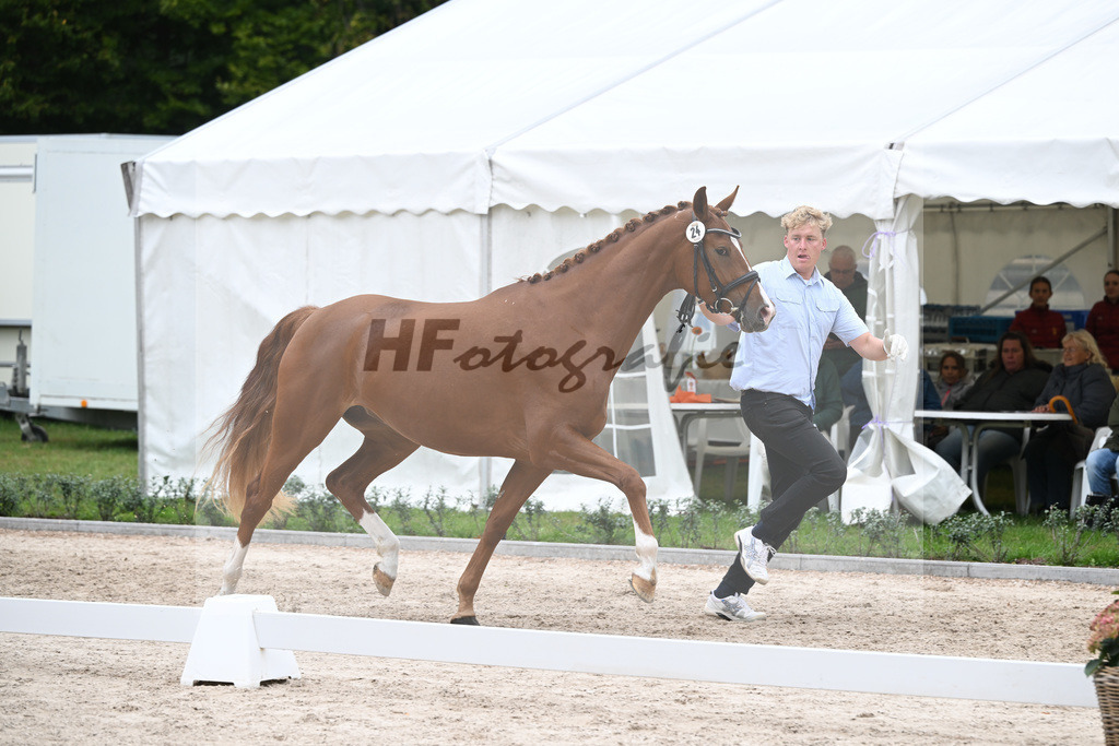 Kat-Nr. 24 Vivamente_HLG Marbach_49221306 | hf-fotografie - Realizzato con Pictrs.com