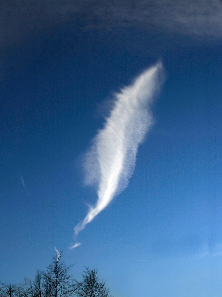 WolkenWort  36_Federwolke | Wolkenwort # 36
Wolke bei Mannheim Spätnachmittag, November 2004
Fotoausstellung WOLKENWORTE, Oberbank Salzburg, Alter Markt 4, 30.5.-30.6.2006. Eine veranstaltung der Europagesellschaft, Salzburg