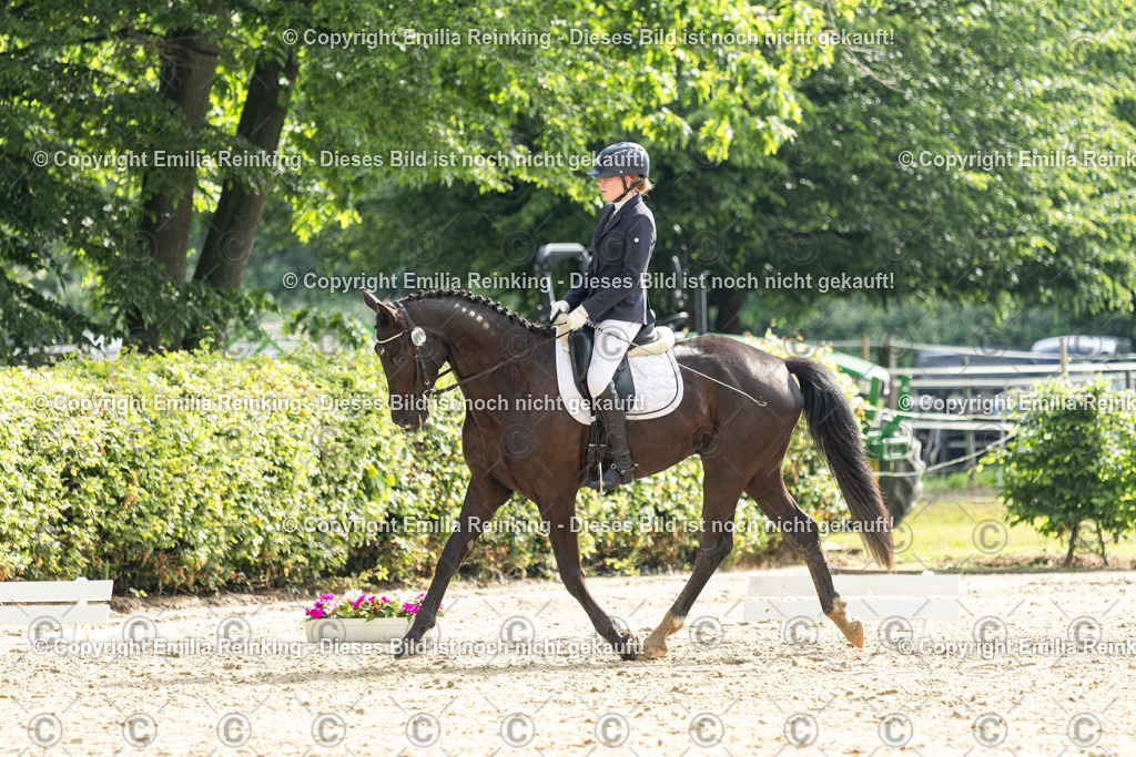 CL5A4431 | Emilia Reinking Fotografie - Realisiert mit Pictrs.com